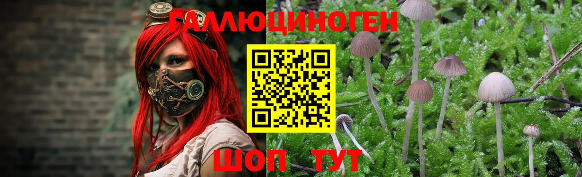 Галлюциногенные грибы ЛСД Качканар