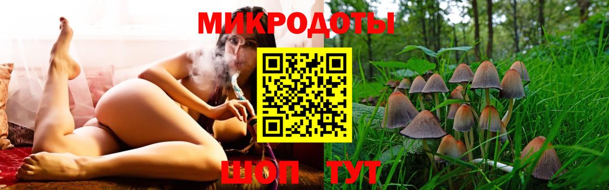 Качканар  Псилоцибиновые грибы MAGIC MUSHROOMS  Вход с VPN 